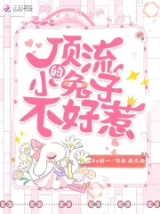 顶流的小兔子不好惹